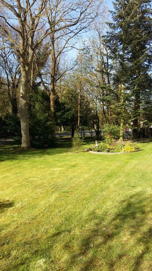 Ferienwohnung "Am Schlosspark" Neetzow Ngoại thất bức ảnh