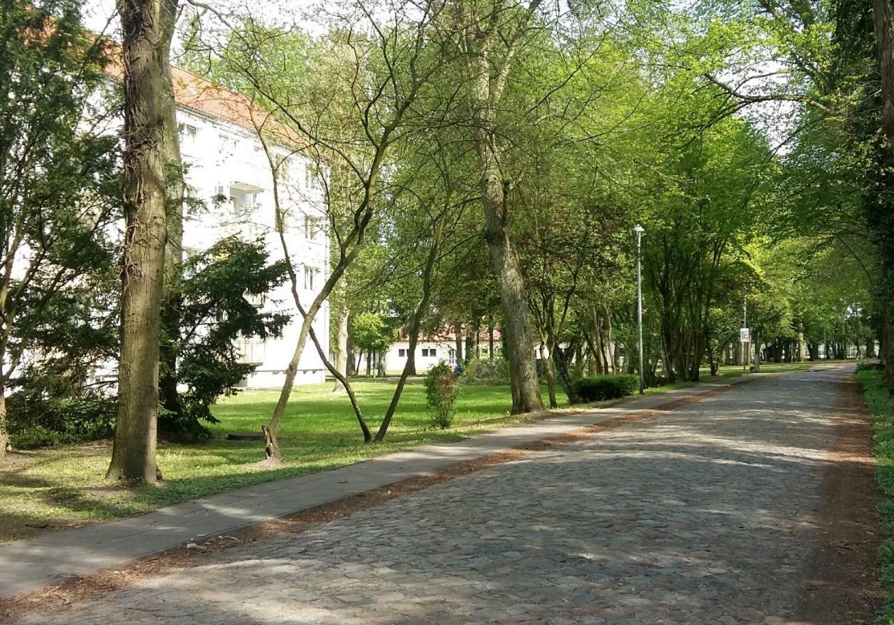 Ferienwohnung "Am Schlosspark" Neetzow Ngoại thất bức ảnh